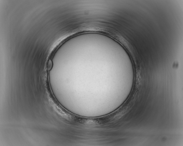 X0000111040787200907091608