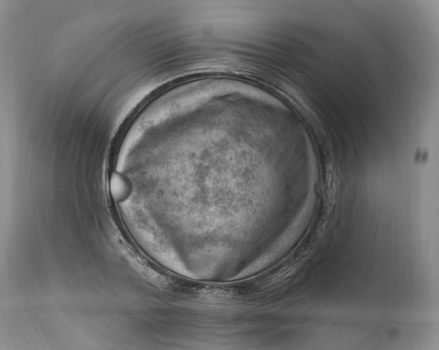 X0000111040788200907091608