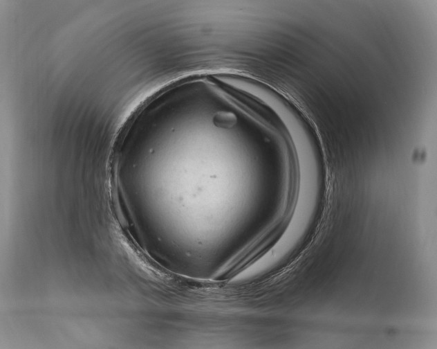 X0000111040789200907091608