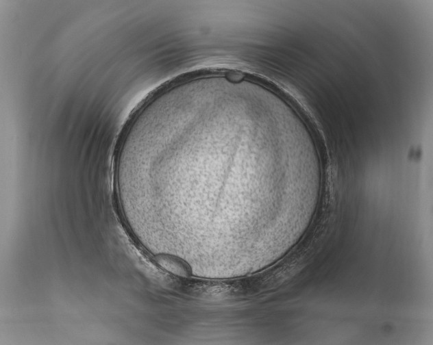 X0000111040791200907091608