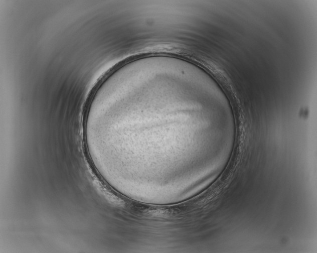 X0000111040792200907091608