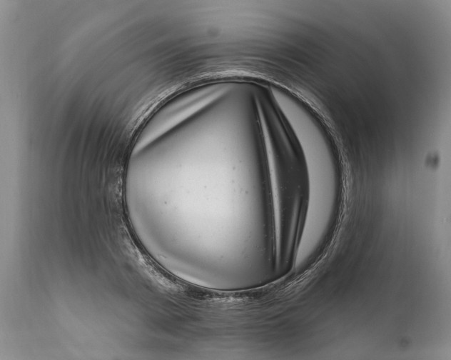 X0000111040793200907091608