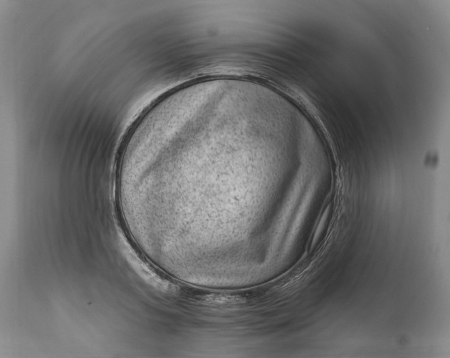 X0000111040795200907091608