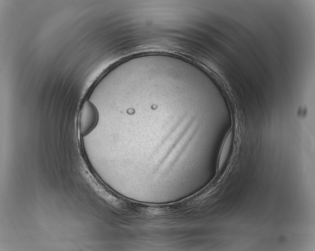 X0000111040796200907091608