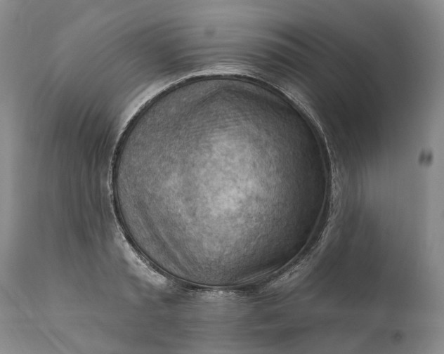 X0000111040797200907091608