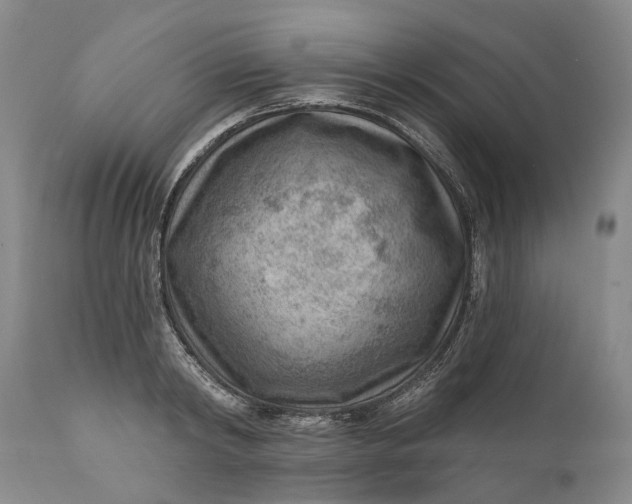 X0000111040798200907091608