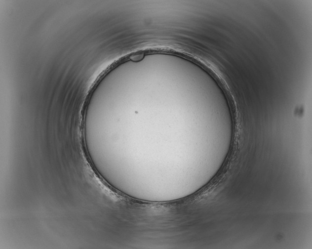 X0000111040799200907091608