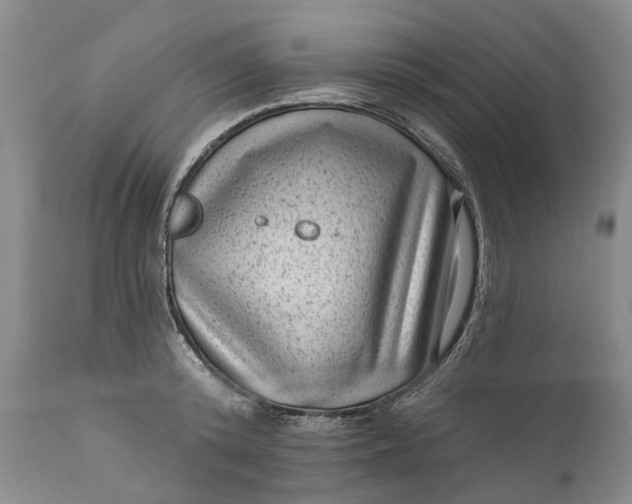 X0000111040800200907091608