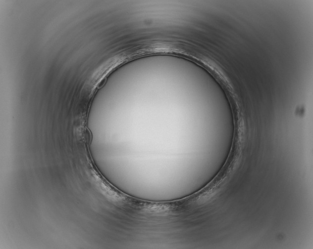 X0000111040801200907091608