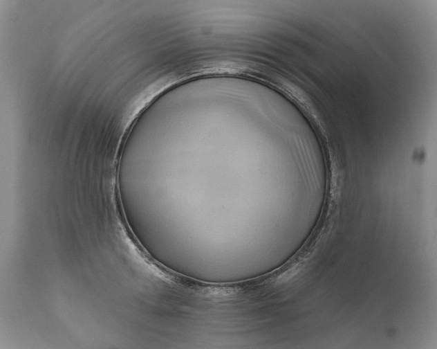 X0000111040802200907091608