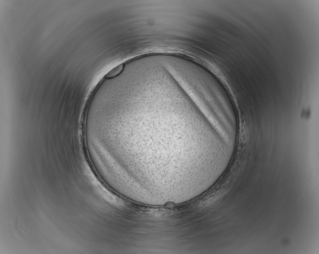 X0000111040803200907091608