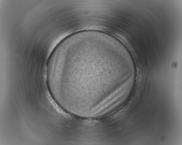 X0000111040804200907091608