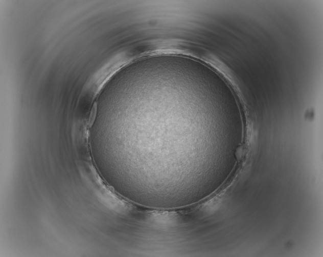 X0000111040809200907091608