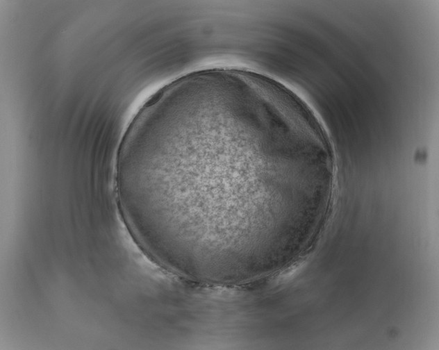 X0000111040815200907091608