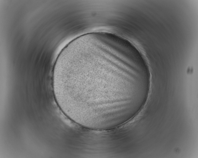 X0000111040816200907091608