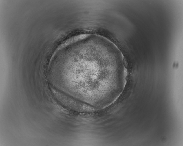 X0000111040817200907091607