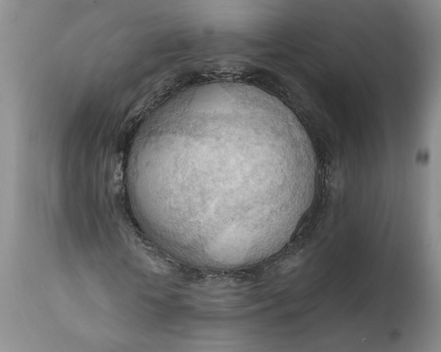 X0000111040818200907091607