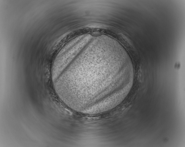 X0000111040821200907091607