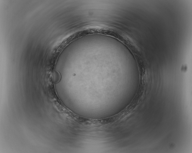 X0000111040822200907091607