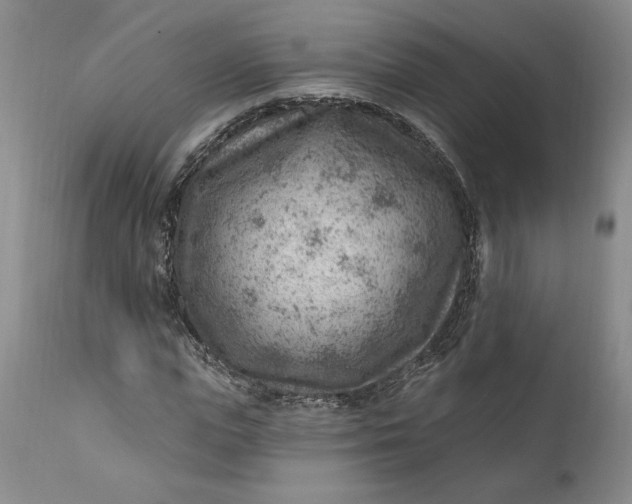 X0000111040823200907091607