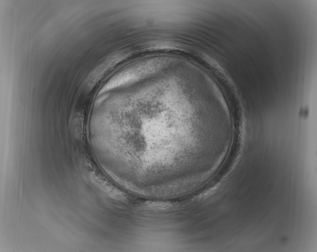 X0000111040825200907091607