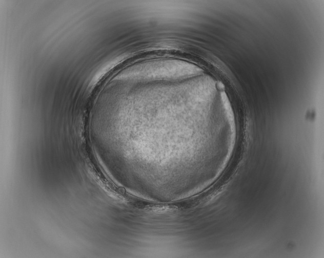 X0000111040826200907091607