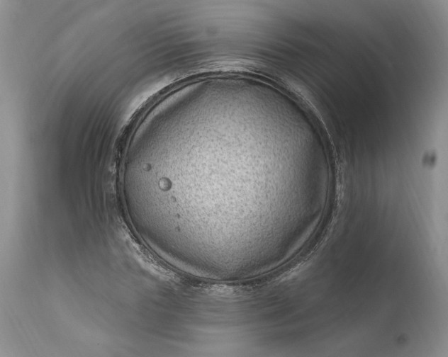 X0000111040827200907091607