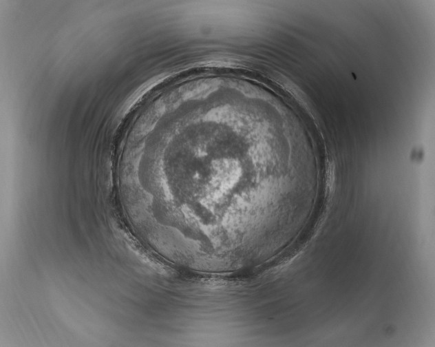 X0000111040829200907091607