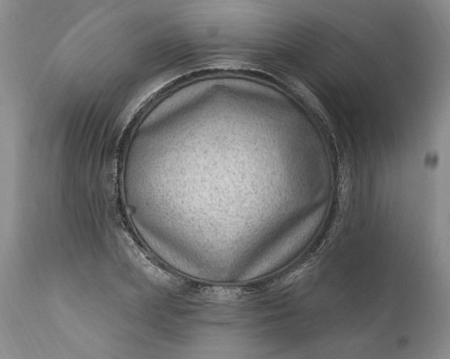 X0000111040831200907091607