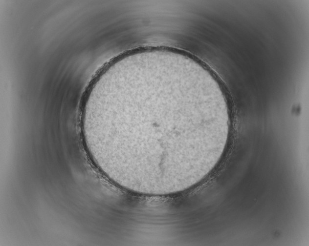 X0000111040832200907091607