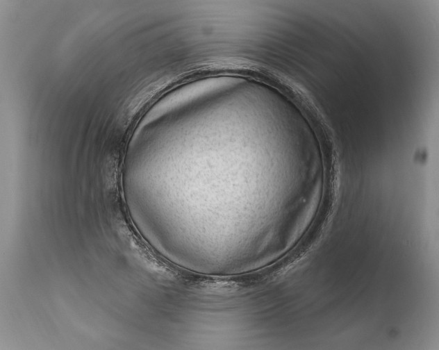 X0000111040833200907091607