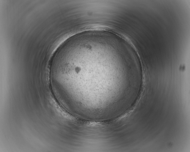 X0000111040835200907091607