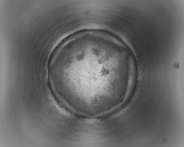 X0000111040837200907091607