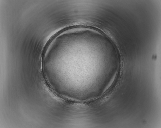 X0000111040838200907091607