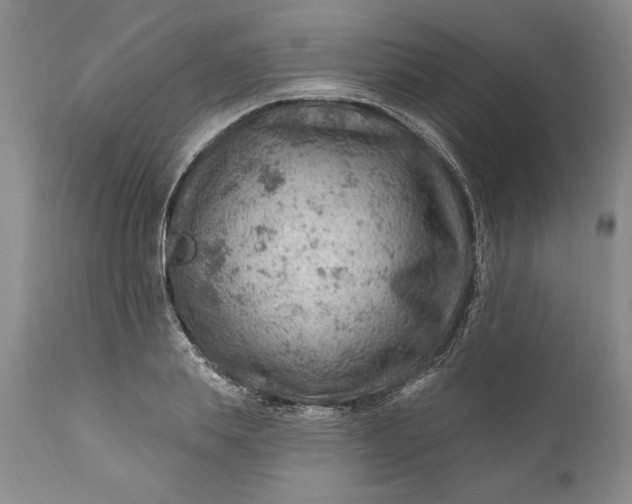 X0000111040839200907091607