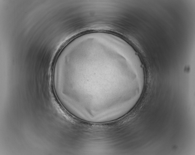 X0000111040840200907091607