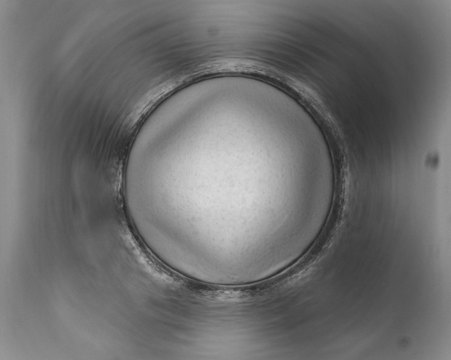 X0000111040841200907091608