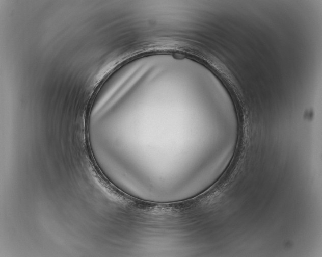 X0000111040842200907091608