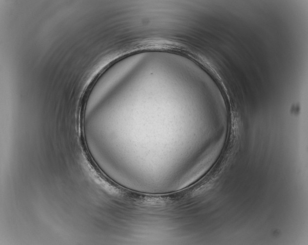 X0000111040843200907091608