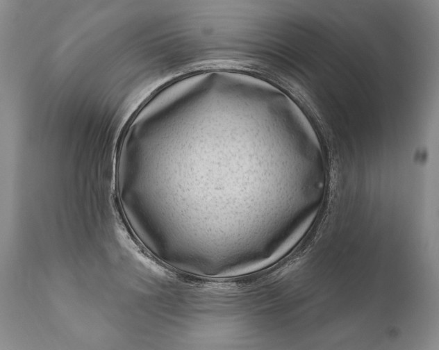 X0000111040844200907091608