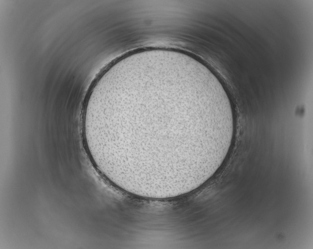 X0000111040848200907091608