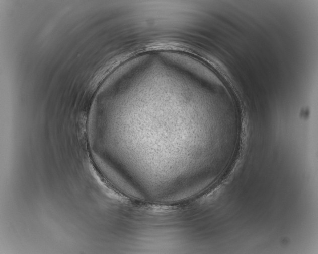 X0000111040849200907091608