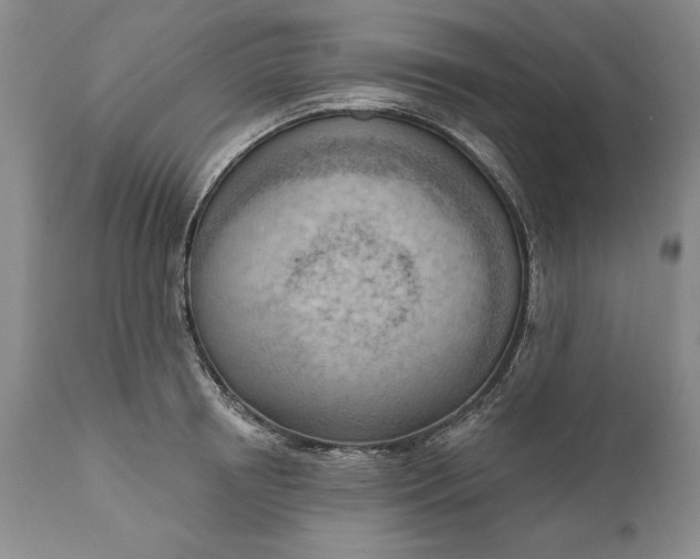 X0000111040850200907091608