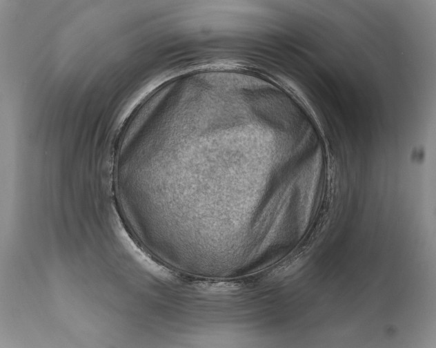 X0000111040851200907091608