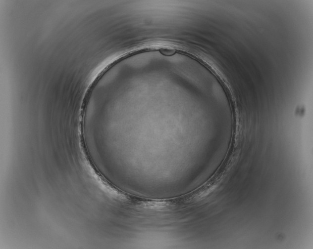 X0000111040853200907091608