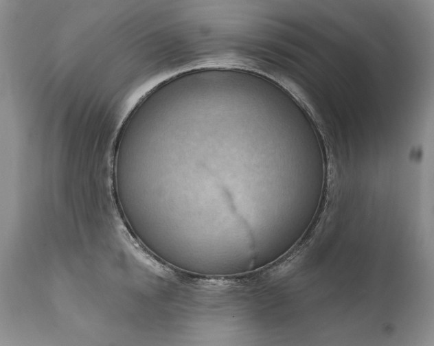 X0000111040854200907091608