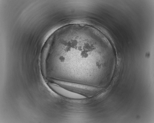 X0000111040855200907091608