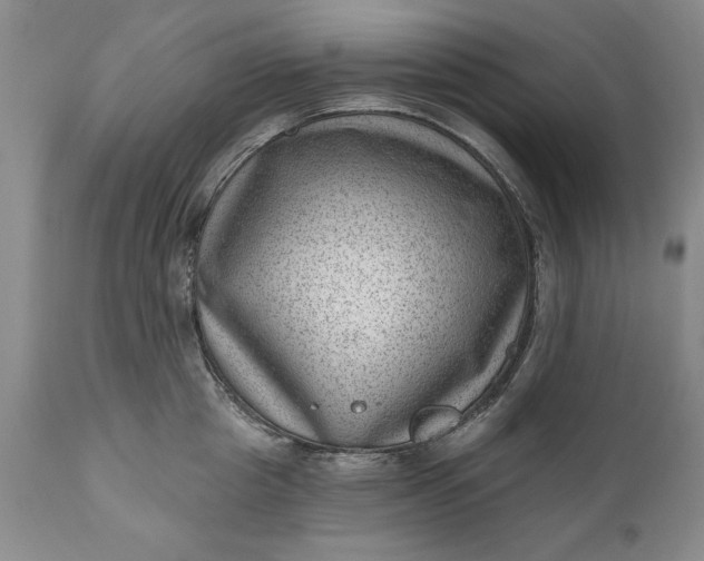 X0000111040857200907091608