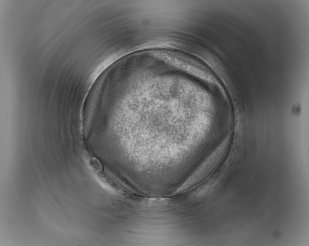 X0000111040858200907091608