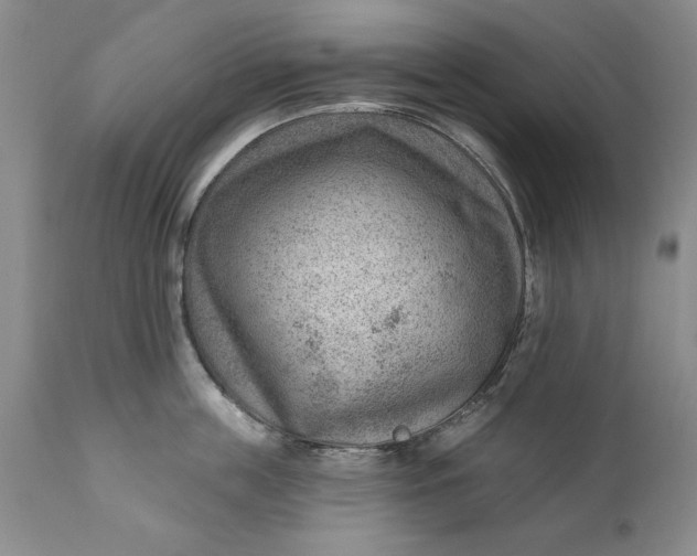 X0000111040859200907091608